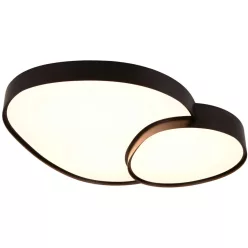 TRIO 647519232 RISE Modern Mennyezeti Lámpa Fekete LED IP20