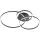 TRIO 670810632 WINONA Modern LED Mennyezeti Lámpa Fekete LED IP20