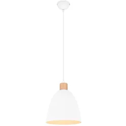 Trio JAGGER R30681031 Függőlámpa 1x40w/e27 ip20