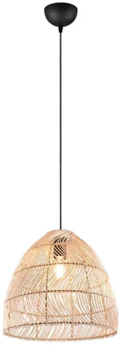 Trio RIKE R31131036 Függőlámpa 1x40w/e27 ip20