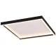TRIO R64502932 ROTONDA Négyzetes Mennyezeti Lámpa Fekete LED IP20