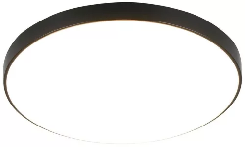 TRIO R67851102 SPICA Kerek Mennyezeti Lámpa Fekete LED IP20
