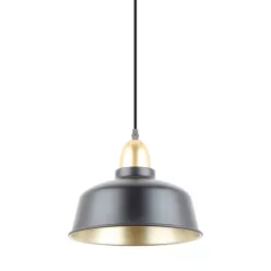 Zuma Line MENSA A8063-BK Függőlámpa 1x40W/E27 IP20