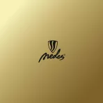 NEDES