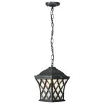 Outdoor Pendant Light
