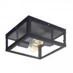 Outdoor Wall/Ceiling Light