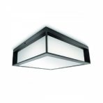 Outdoor Ceiling Light
